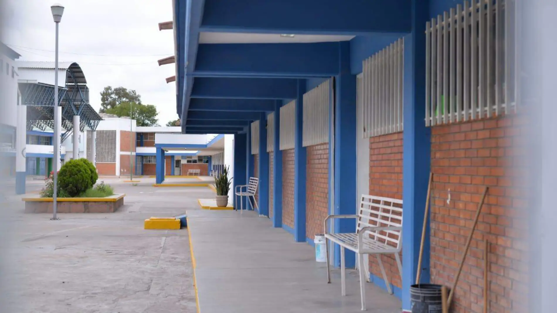 Escuelas del SEER